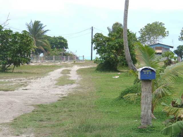 09080045.jpg