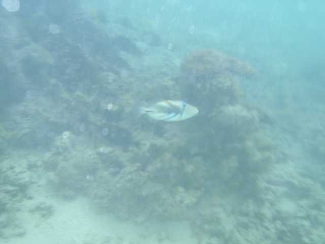 09080025.jpg