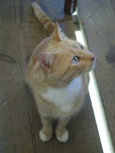 09080033.jpg