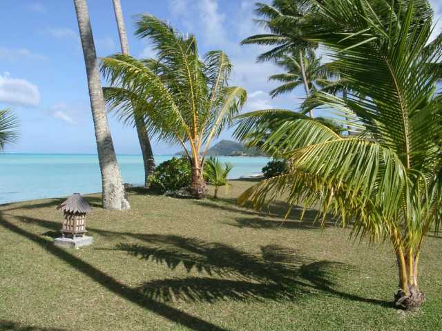 09080039.jpg