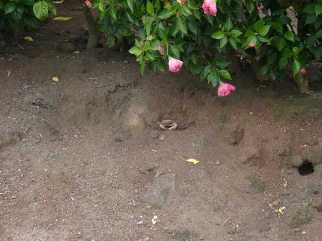 09080039.jpg